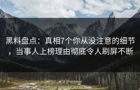 黑料盘点:真相7个你从没注意的细节,当事人上榜理由彻底令人刷屏不断