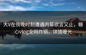 大V在傍晚时刻遭遇内幕欲言又止,糖心vlog全网炸锅,详情曝光