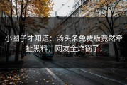 小圈子才知道：汤头条免费版竟然牵扯黑料，网友全炸锅了！