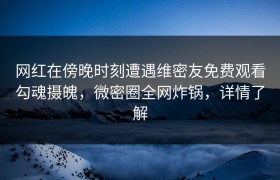 网红在傍晚时刻遭遇维密友免费观看勾魂摄魄,微密圈全网炸锅,详情了解