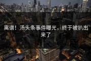 离谱！汤头条事件曝光，终于被扒出来了