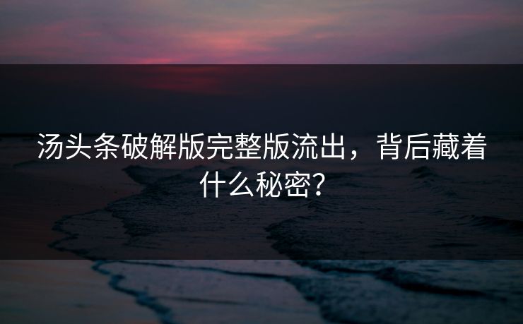 汤头条破解版完整版流出，背后藏着什么秘密？