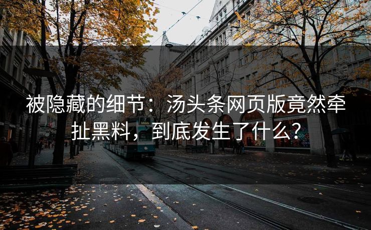 被隐藏的细节：汤头条网页版竟然牵扯黑料，到底发生了什么？