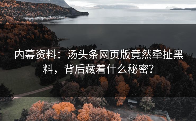 内幕资料：汤头条网页版竟然牵扯黑料，背后藏着什么秘密？