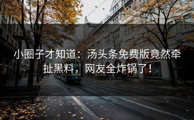小圈子才知道：汤头条免费版竟然牵扯黑料，网友全炸锅了！