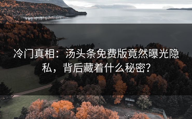 冷门真相：汤头条免费版竟然曝光隐私，背后藏着什么秘密？