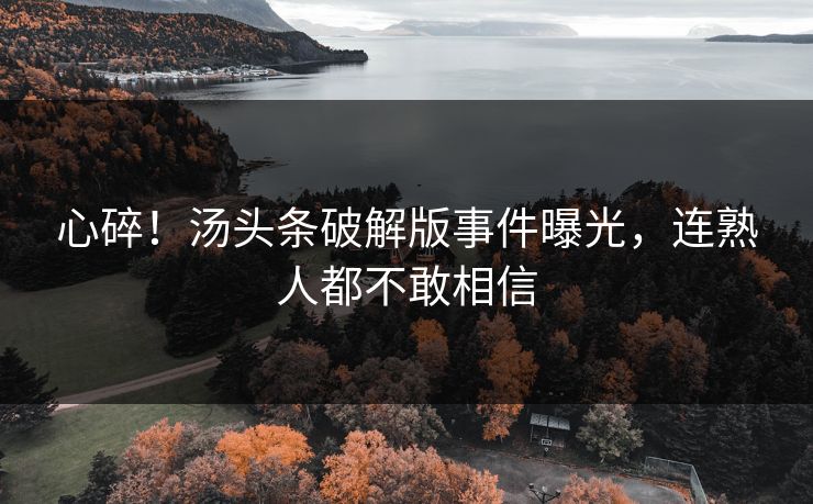 心碎！汤头条破解版事件曝光，连熟人都不敢相信