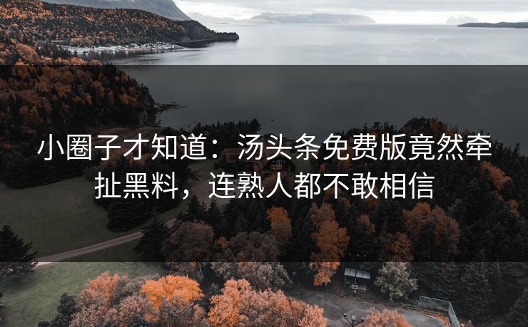 小圈子才知道：汤头条免费版竟然牵扯黑料，连熟人都不敢相信