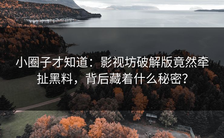 小圈子才知道：影视坊破解版竟然牵扯黑料，背后藏着什么秘密？