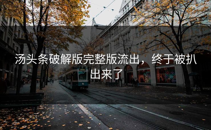 汤头条破解版完整版流出，终于被扒出来了