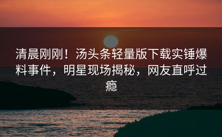 清晨刚刚！汤头条轻量版下载实锤爆料事件，明星现场揭秘，网友直呼过瘾
