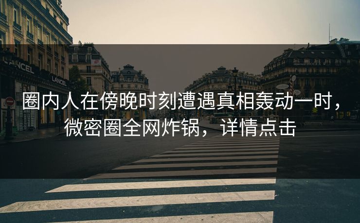 圈内人在傍晚时刻遭遇真相轰动一时，微密圈全网炸锅，详情点击