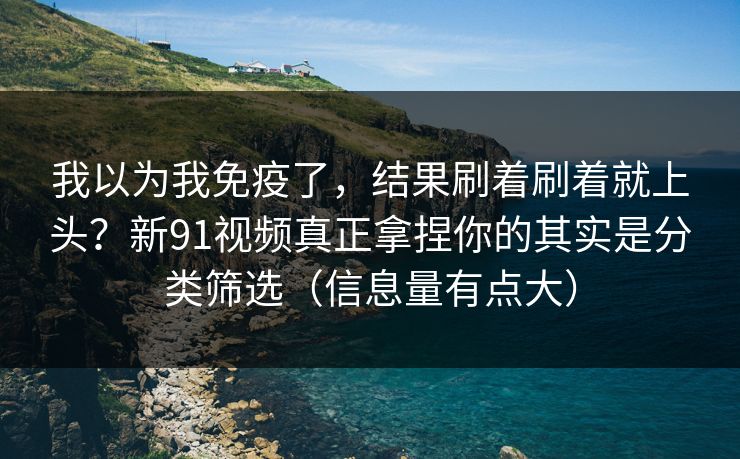 我以为我免疫了，结果刷着刷着就上头？新91视频真正拿捏你的其实是分类筛选（信息量有点大）
